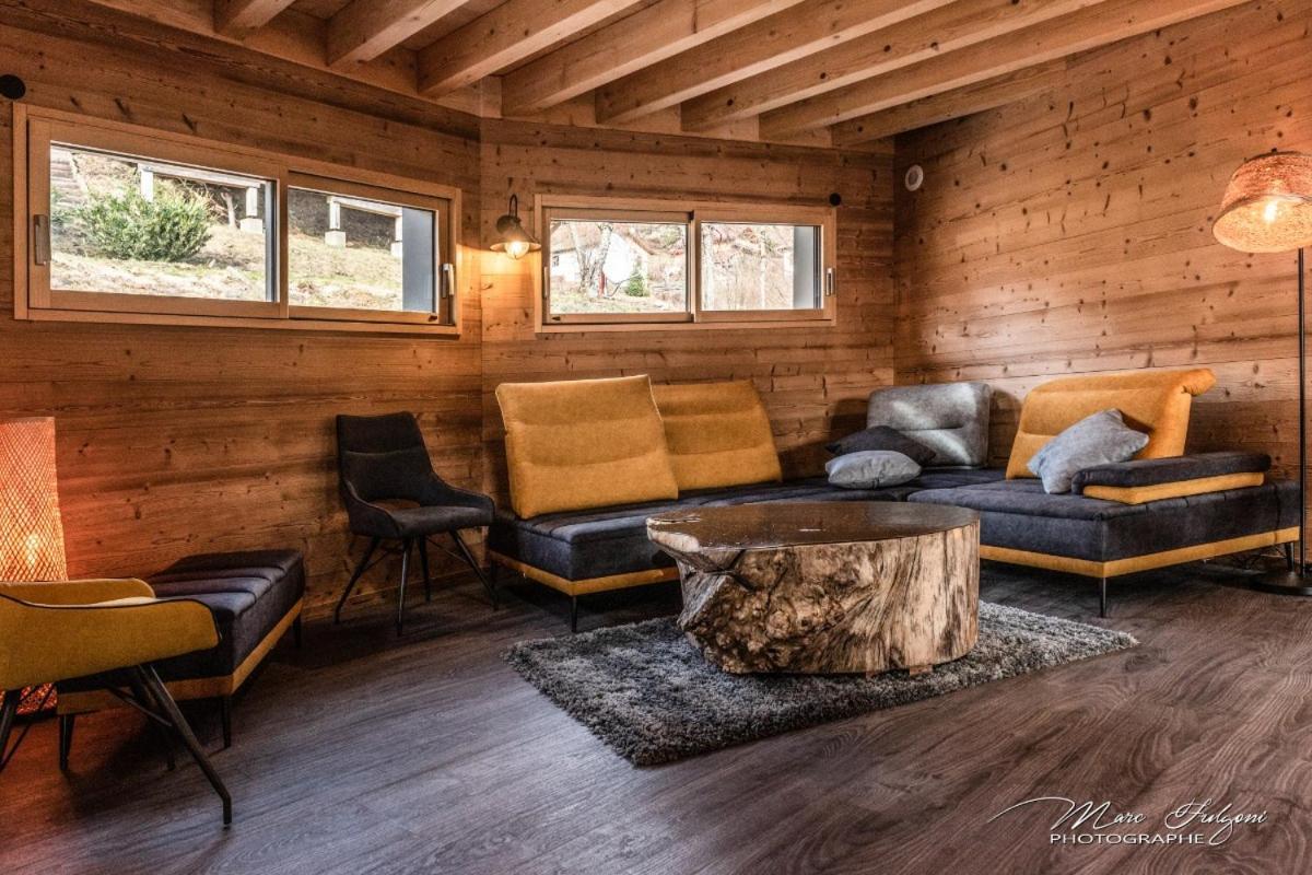 Chalet Le Pourquoi Pas Villa La Bresse Ngoại thất bức ảnh