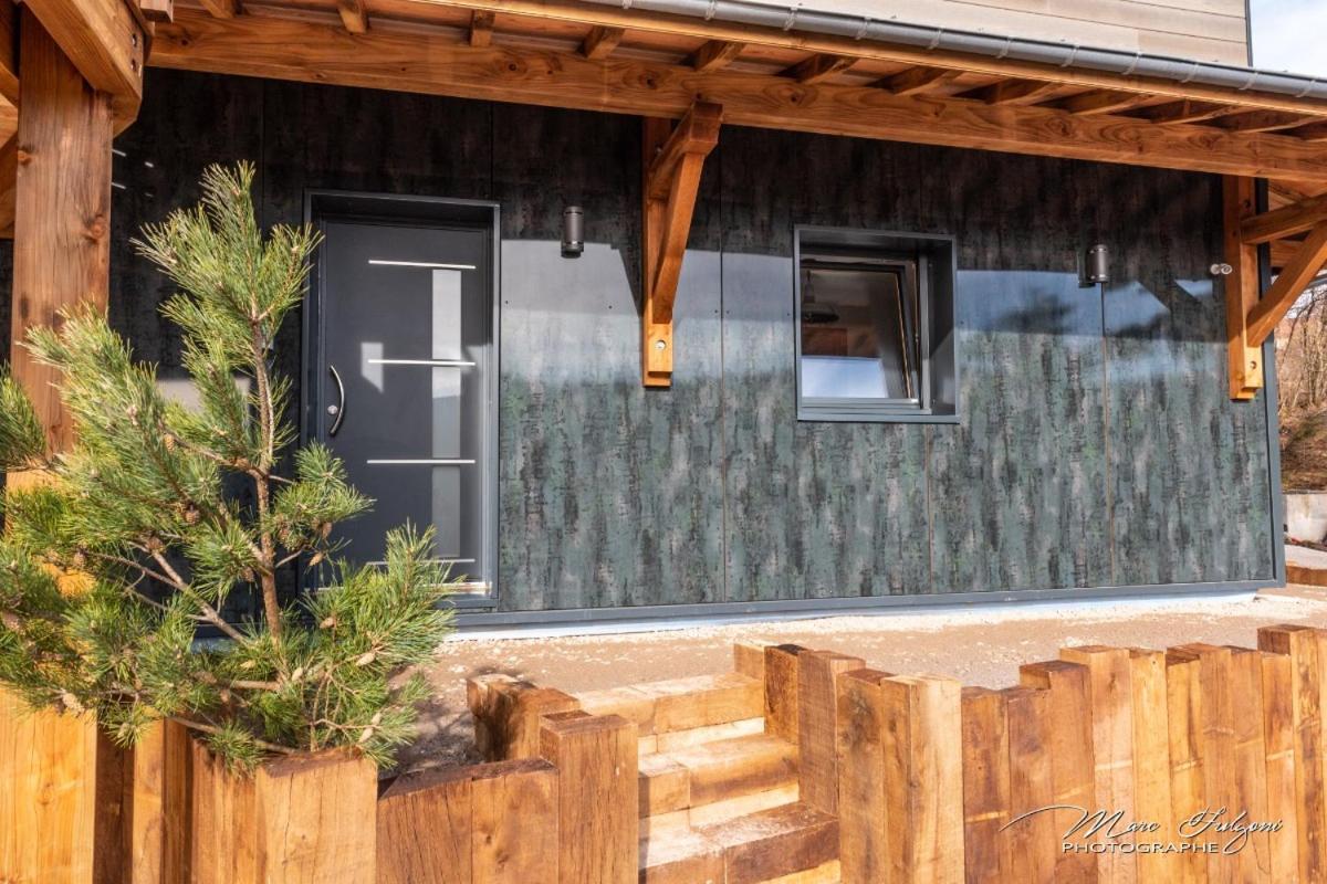 Chalet Le Pourquoi Pas Villa La Bresse Ngoại thất bức ảnh